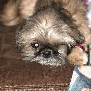 Meet your Posher, Kristen